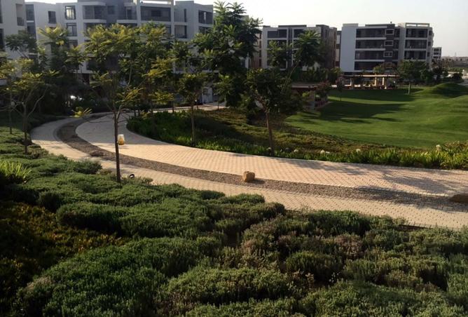 8522916 - Property Image 3