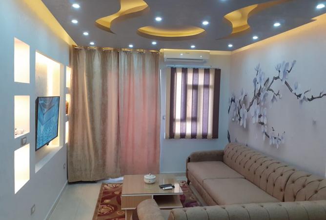 8116286 - Property Image 3