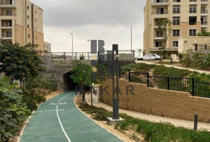 8224294 - صورة العقار 3