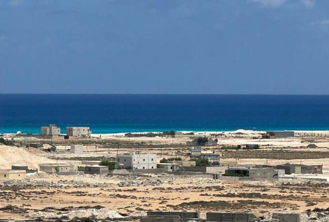 7955561 - صورة العقار 3