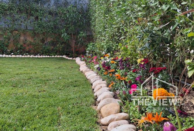 8477204 - صورة العقار 3