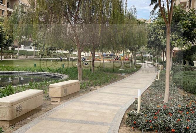 8193333 - Property Image 2