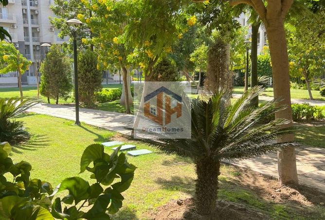 8259152 - صورة العقار 2