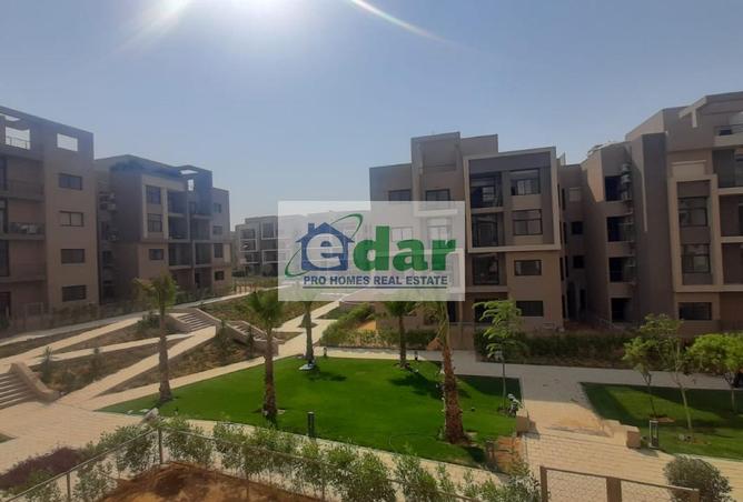 8164215 - صورة العقار 3