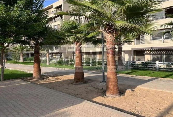 6717006 - صورة العقار 3