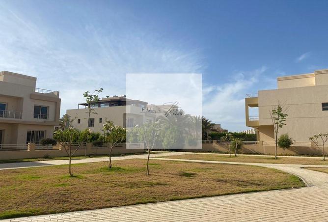 8031160 - Property Image 3