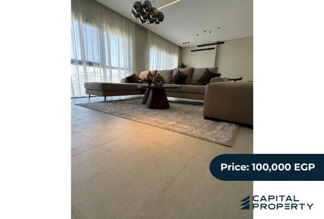 8177297 - Property Image 2