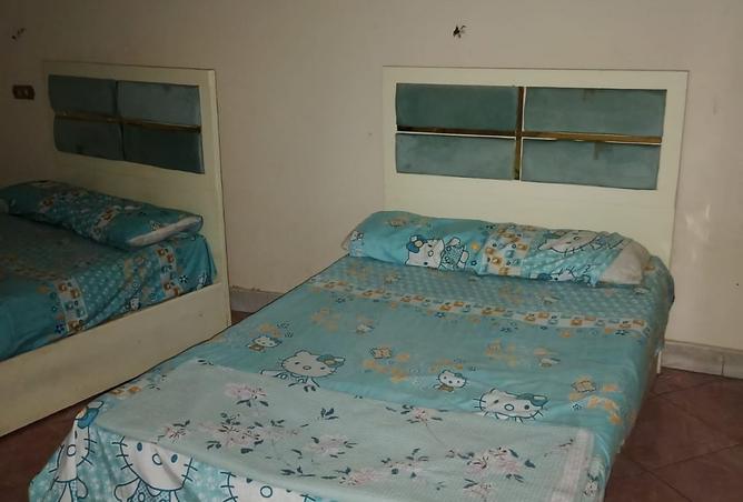 8378925 - Property Image 2