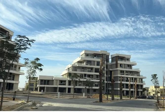 8486078 - Property Image 2