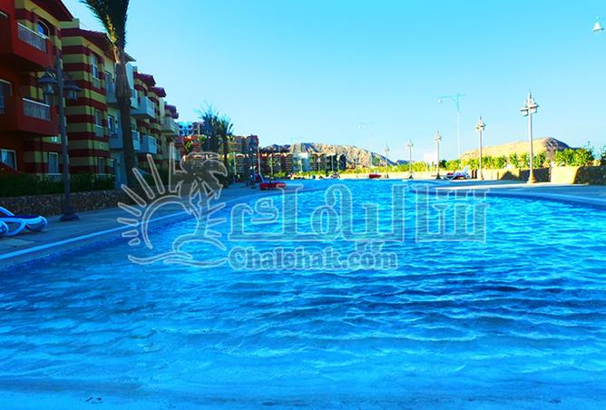 8122764 - صورة العقار 3