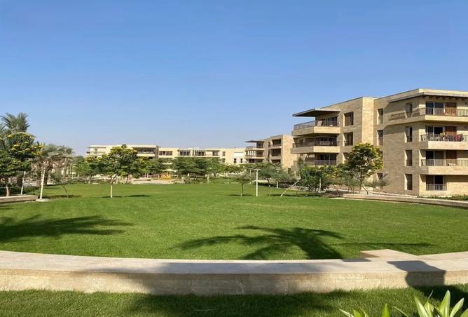 8238054 - Property Image 3