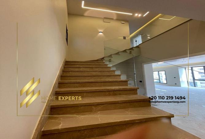 8025981 - Property Image 3