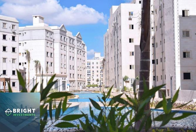 8100319 - صورة العقار 2