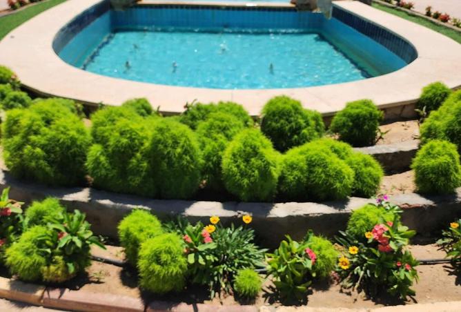 8227995 - Property Image 3