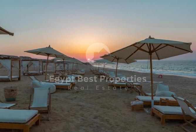 7906148 - Property Image 3