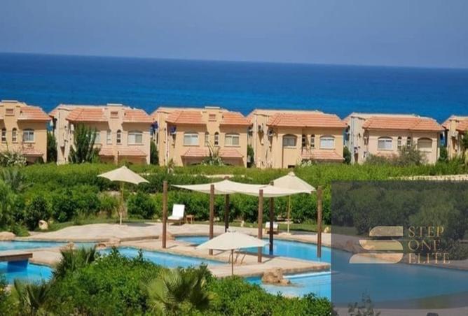 8303636 - Property Image 3