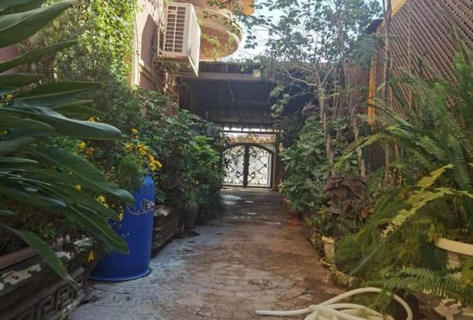 8261876 - Property Image 3