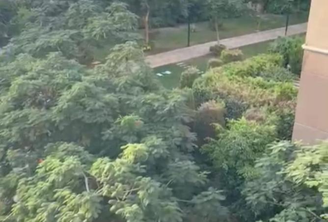 8351159 - صورة العقار 2