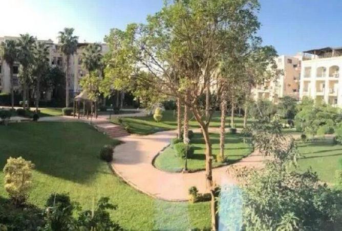 8436784 - Property Image 3