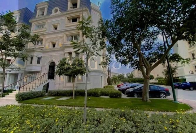 8303845 - Property Image 3