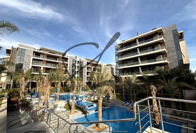 7961976 - صورة العقار 3