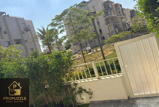8119600 - Property Image 2