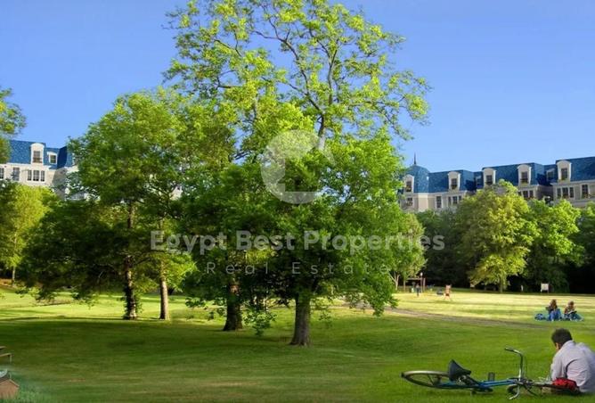 8561688 - Property Image 2