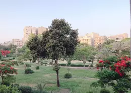 Apartment - 3 Bedrooms - 2 Bathrooms for rent in Mohamed Farid St. - El Hegaz Square - El Nozha - Cairo