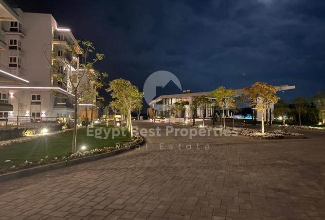 7993198 - Property Image 3
