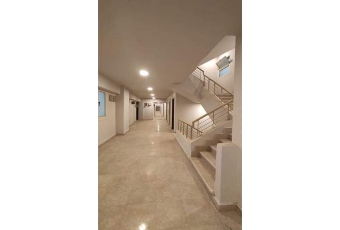 7980212 - Property Image 3