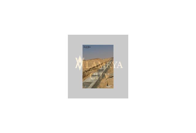 7993493 - Property Image 3