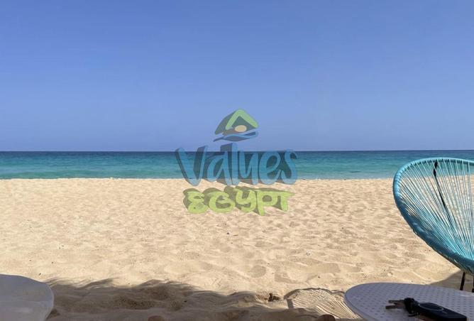 7833558 - Property Image 3