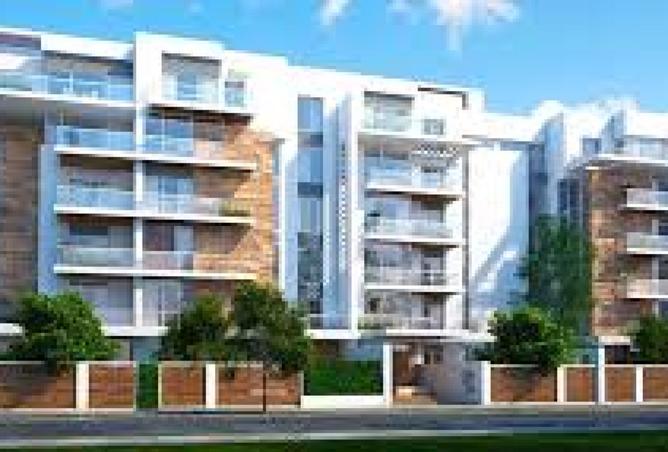 8250596 - Property Image 3