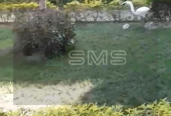 8259003 - Property Image 2