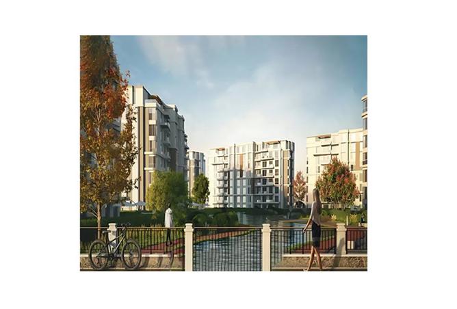 8401291 - Property Image 3