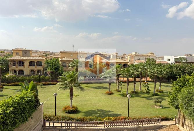 7990843 - Property Image 3