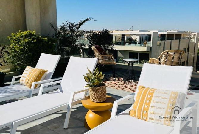 8403700 - Property Image 3