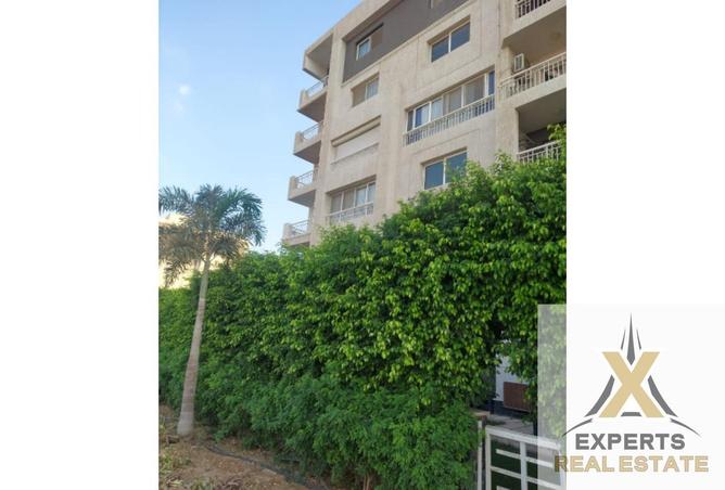 8293203 - Property Image 3