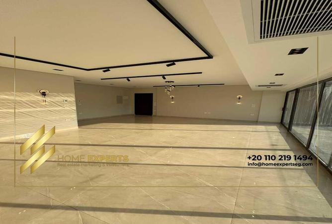 7989183 - Property Image 3