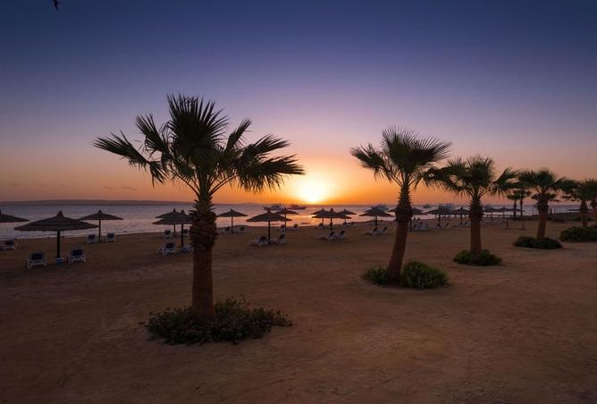 7977084 - صورة العقار 3