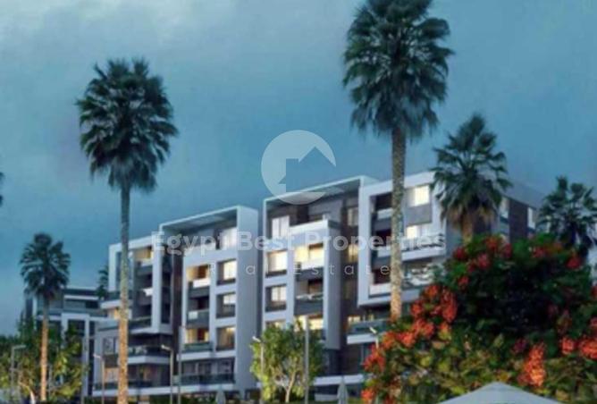 8295377 - Property Image 3