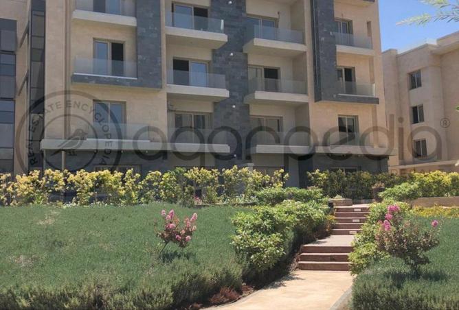 8206168 - صورة العقار 3