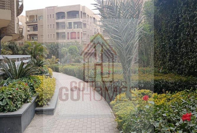 7179757 - Property Image 3