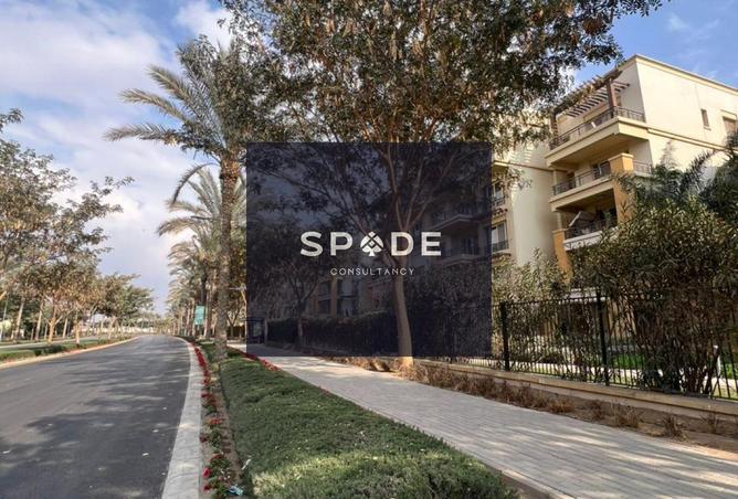 8268974 - Property Image 3