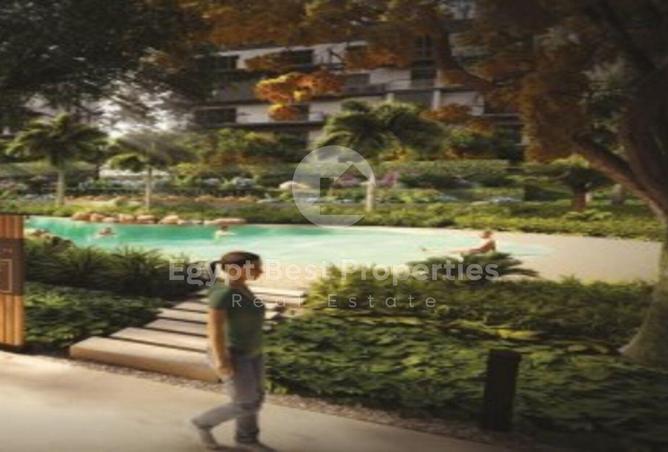 8309198 - Property Image 3