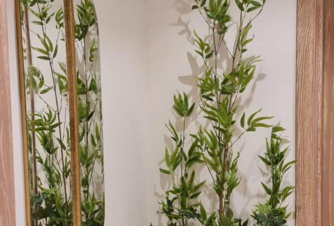 8223987 - Property Main Image