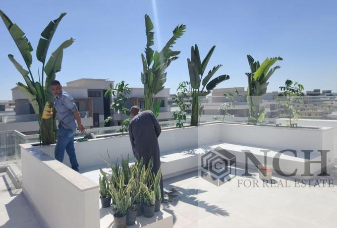 8303913 - الصورة الرئيسية للعقار