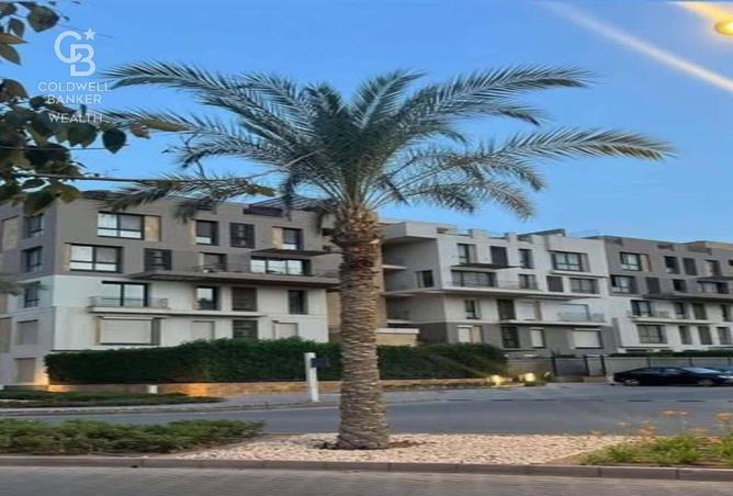 8095618 - Property Image 3
