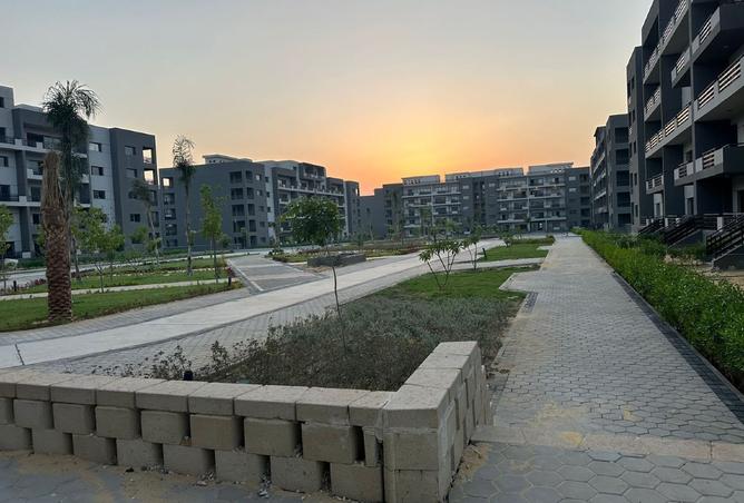 8436919 - Property Image 3