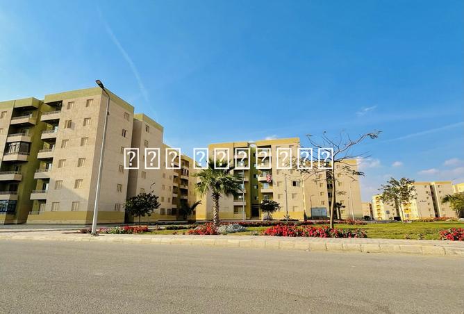 8181708 - الصورة الرئيسية للعقار